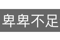 卑卑不足道