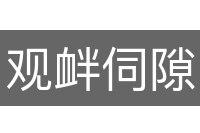 观衅伺隙