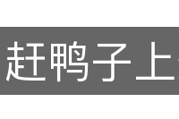 赶鸭子上架
