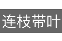 连枝带叶