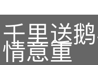 千里送鹅毛，礼轻情意重