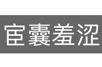 宦囊羞涩
