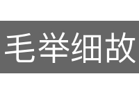 毛举细故