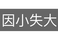 因小失大