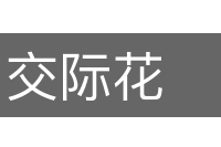 交际花