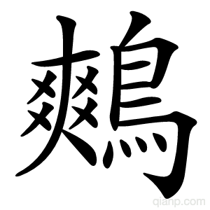 鷞字的意思