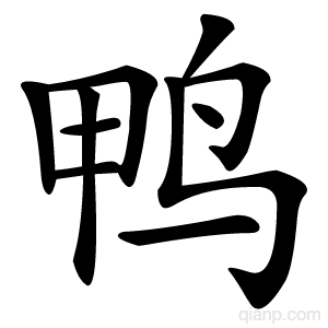 鸭字的意思